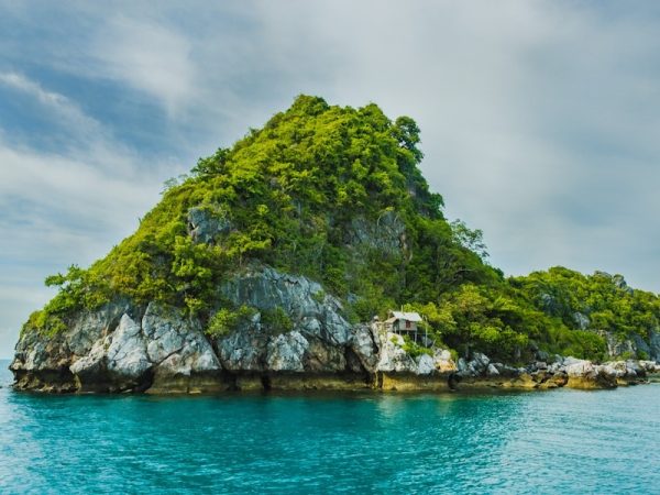 圣文森特.VC域名的五大应用场景
