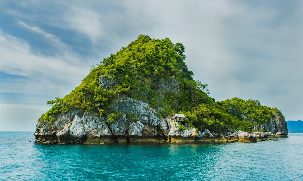 圣文森特.VC域名的五大应用场景