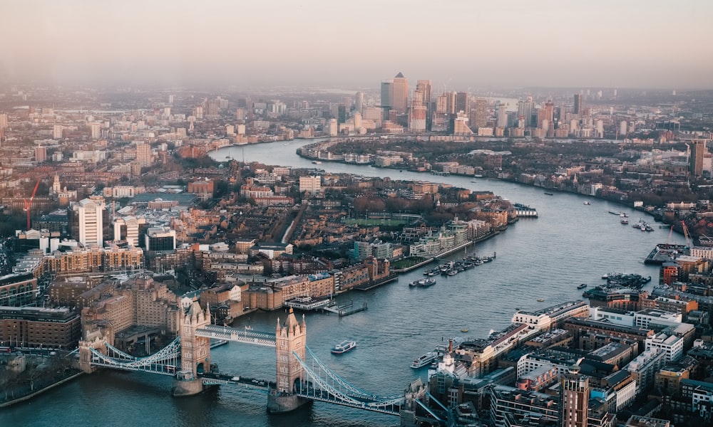 英国.UK域名全面解析：欧洲数字身份的首选